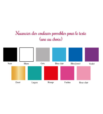 couleurs disponibles pour le texte